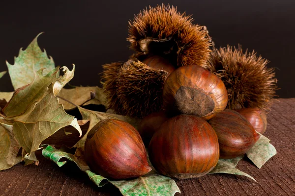 Chestnuts hedgehogs and photographed on a wood base — Stock Photo, Image
