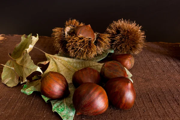 Chestnuts hedgehogs and photographed on a wood base — Stock Photo, Image