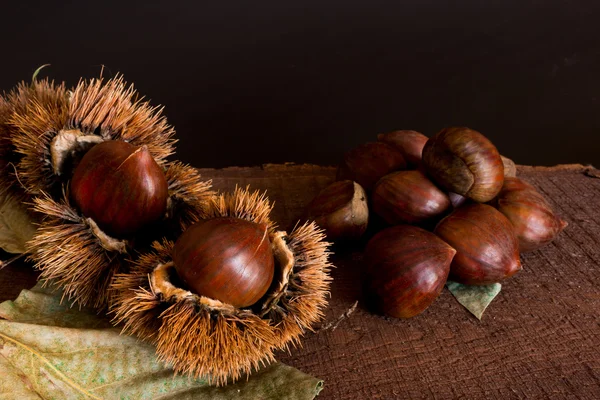 Chestnuts hedgehogs and photographed on a wood base — Stock Photo, Image