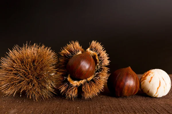 Curly chestnut  photographed — Stock Photo, Image