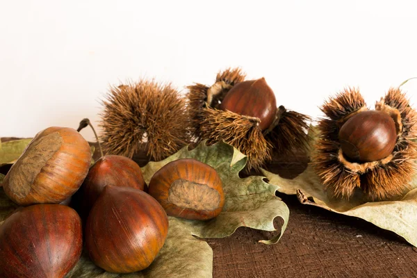 Caracolado e castanhas — Fotografia de Stock