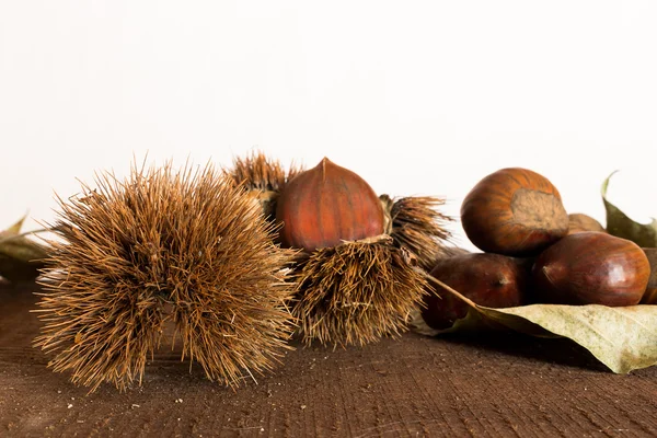 Curly and chestnuts — Stock Photo, Image