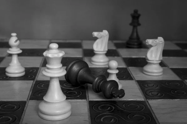 Photographed on a chess board — Stock Photo, Image