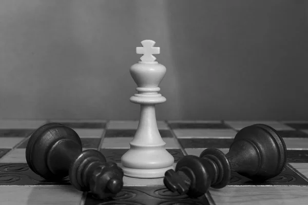 Photographed on a chess board — Stock Photo, Image