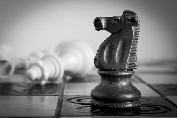 Photographed on a chess board — Stock Photo, Image