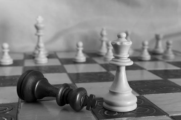 Photographed on a chess board — Stock Photo, Image