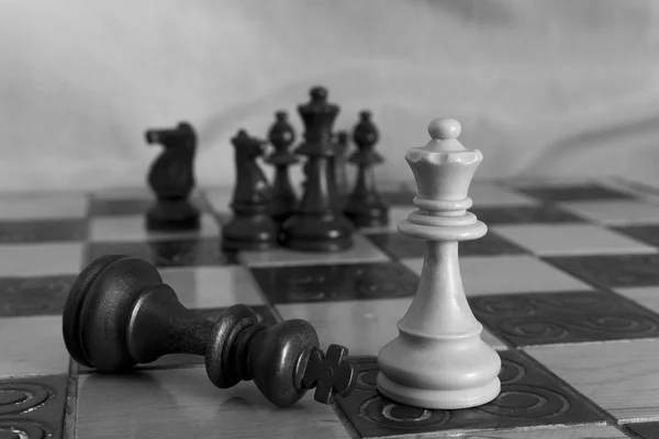 Photographed on a chess board — Stock Photo, Image