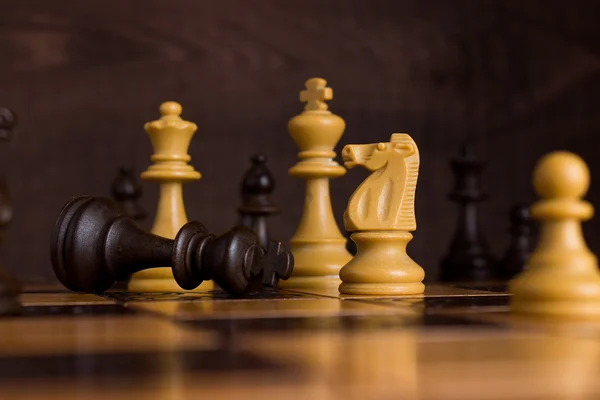 Photographed on a chess board — Stock Photo, Image