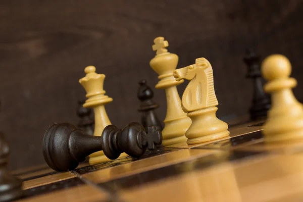 Photographed on a chess board — Stock Photo, Image