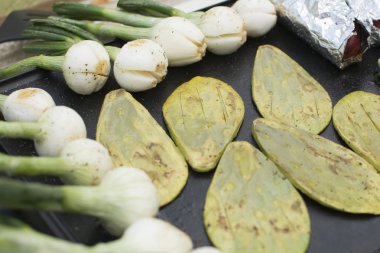 Nopales and chambray onions clipart
