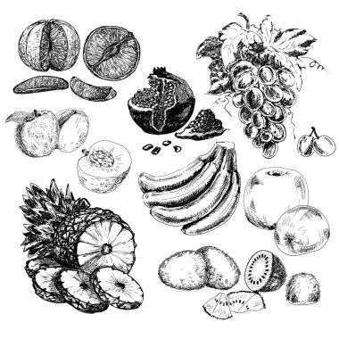 Elle çizilmiş meyve toplama