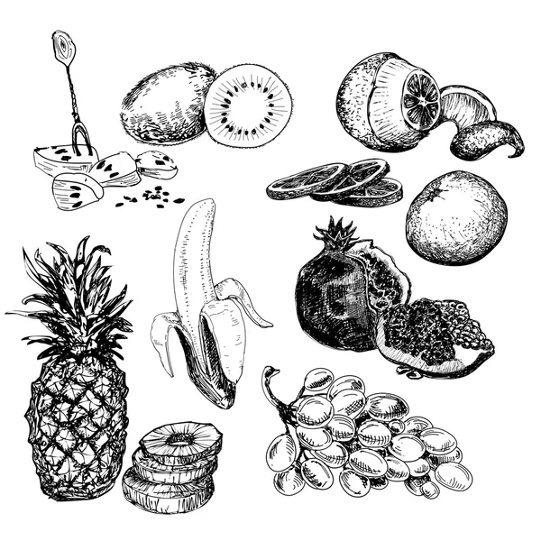 Collection de fruits dessinés à la main — Image vectorielle