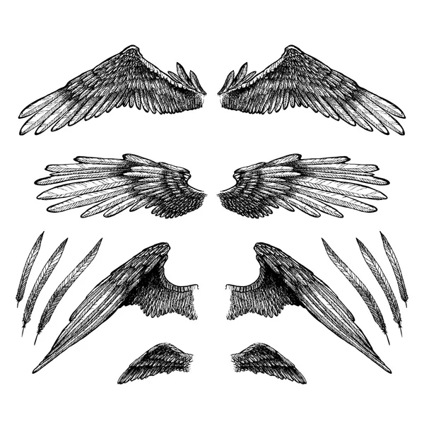 Συλλογή από φτερά για το σχεδιασμό σας — Διανυσματικό Αρχείο