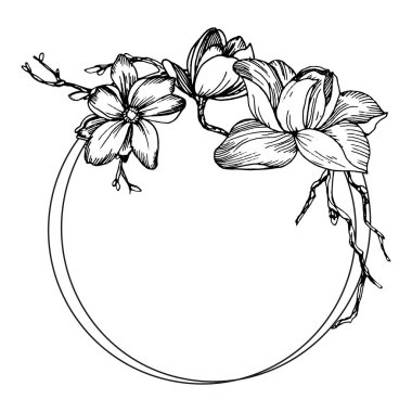 Manolya çiçekleri, yapraklar ve dallarla çerçevelenmiş