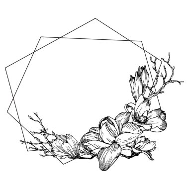 Manolya çiçekleri, yapraklar ve dallarla çerçevelenmiş