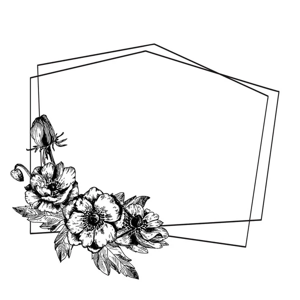 Ανεμώνη ανθικά βοτανικά λουλούδια με γεωμετρικό πλαίσιο. Διανυσματικά Γραφικά