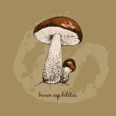 kahverengi kap çörek