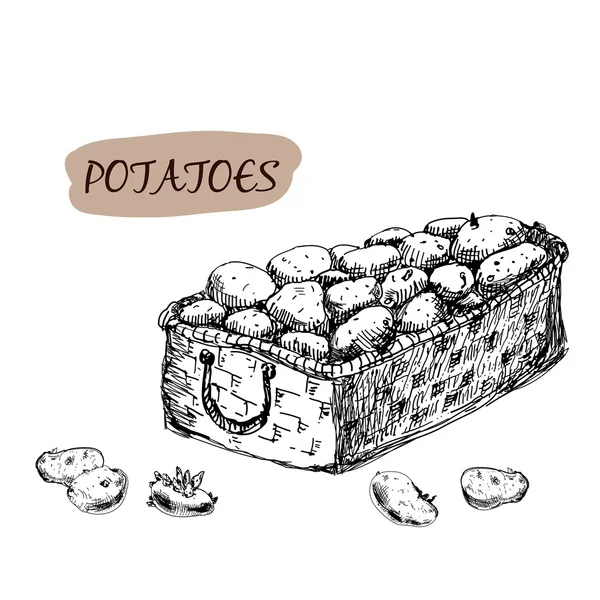 Patatas en cesta — Vector de stock