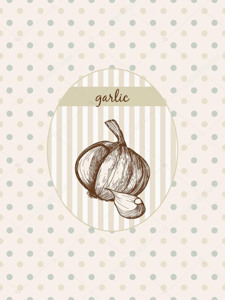 Sketch garlic