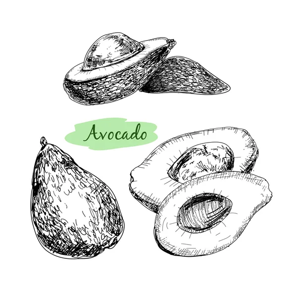 Aguacate fresco — Archivo Imágenes Vectoriales