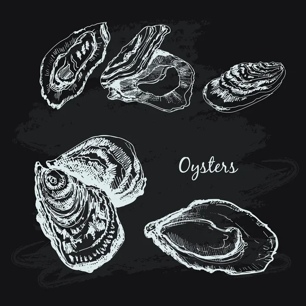 Oesters set — Stockvector