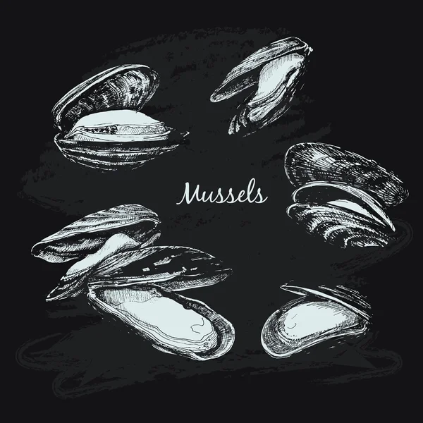 Mussels set — Stock Vector