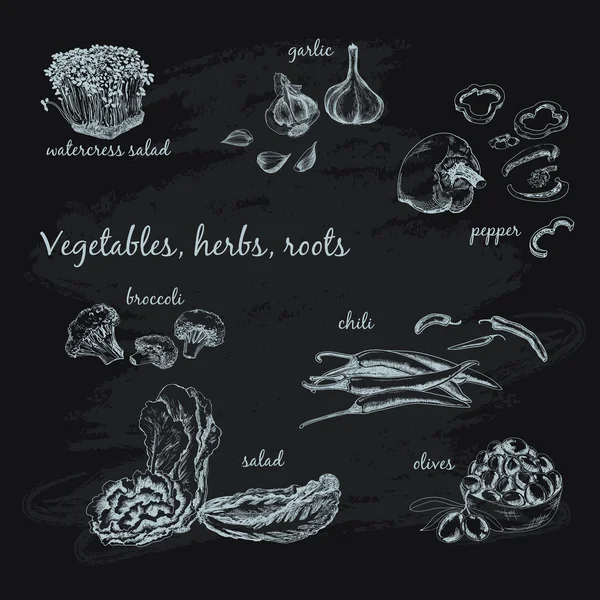 Produtos hortícolas, ervas e raízes . —  Vetores de Stock