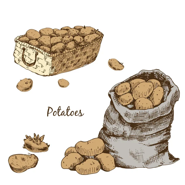 ᐈ Potatoes drawing stock vectors, Royalty Free potatoes illustrations