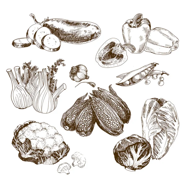Συλλογή λαχανικά — Διανυσματικό Αρχείο