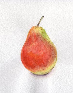 meyve armut boyama suluboya