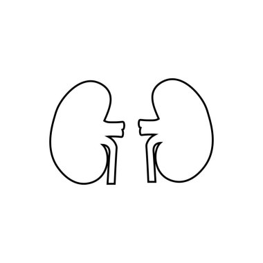 Böbreklerin ana hatları ikon. Mobil konsept ve web tasarımı için sembol, logo illüstrasyonu.