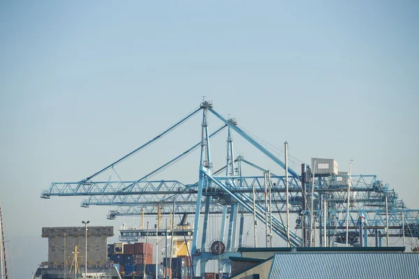 Commercial harbor with large industrial cranes — Stock Photo, Image