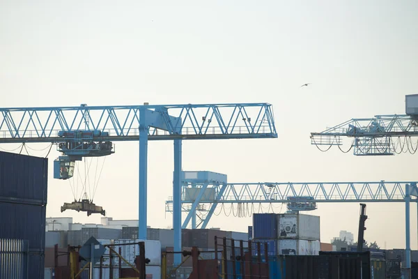 Porto commerciale con grandi gru industriali — Foto Stock