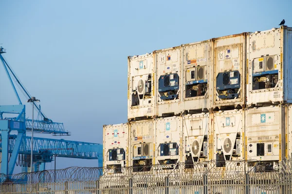 Conteneurs de chargement de grue à terre — Photo