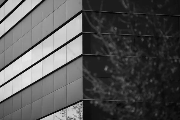 Edificio de oficinas, imagen en negro y blanco — Foto de Stock