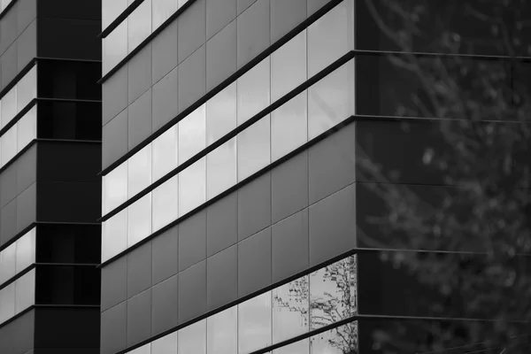 Edificio de oficinas, imagen en negro y blanco — Foto de Stock