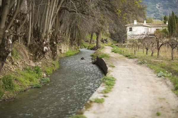 Río y camino —  Fotos de Stock