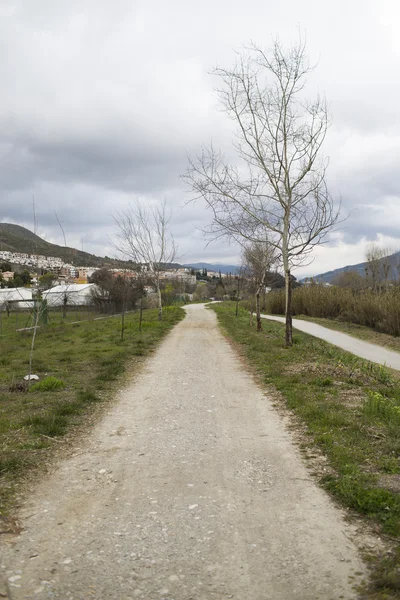 Strada di campagna che conduce alla linea dell'orizzonte . — Foto Stock