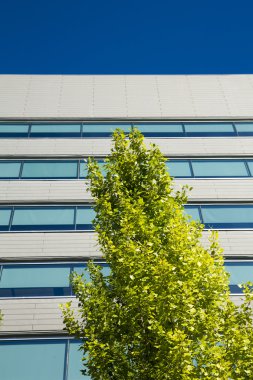 Cityscape gök mavisi ile Office binalarda