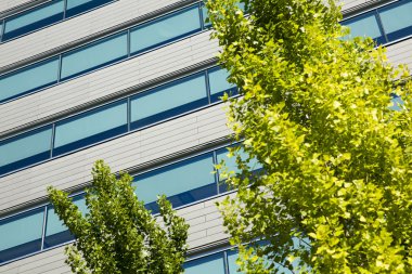 Cityscape gök mavisi ile Office binalarda