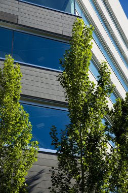 Cityscape gök mavisi ile Office binalarda