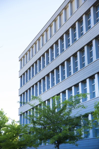 Office buildings in cityscape with a sky blue — Stock Photo, Image