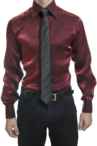 Closeup of torso of confident unknown business man wearing elega — Stock Photo, Image