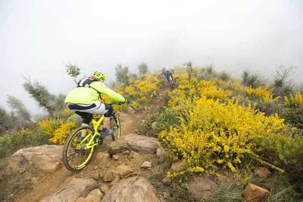 Malaga, spanien - 30. märz: unbekannter rennfahrer beim wettbewerb des mountainbikes "big ride open de spain de enduro" am 30. märz 2014 in malaga, spanien — Stockfoto