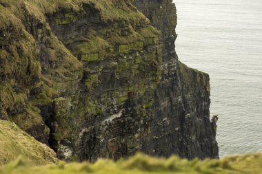 Clare, İrlanda 'da anne kayalıkları