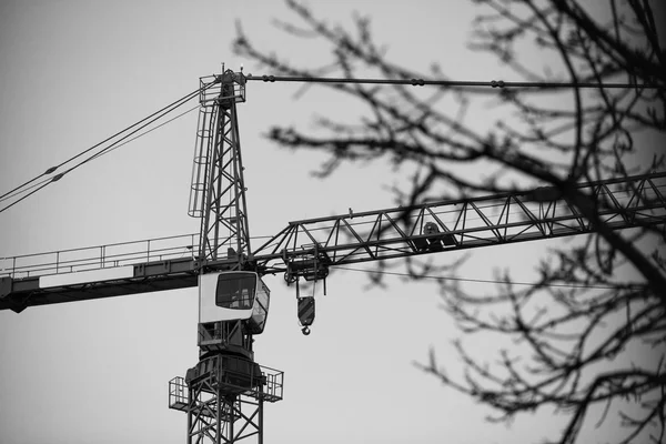 Crane na esquina. Imagem em preto e branco . — Fotografia de Stock