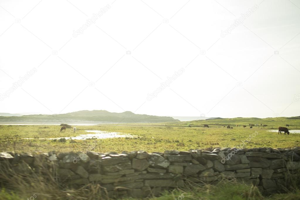 Ireland countryside