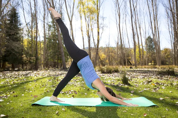 Mujer del yoga en el bosque . —  Fotos de Stock