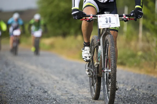 Granada, spanien - 1. juni: unbekannter rennfahrer beim wettbewerb des mountainbikes "la mamut padul bike" am 1. juni 2014 in granada, spanien — Stockfoto