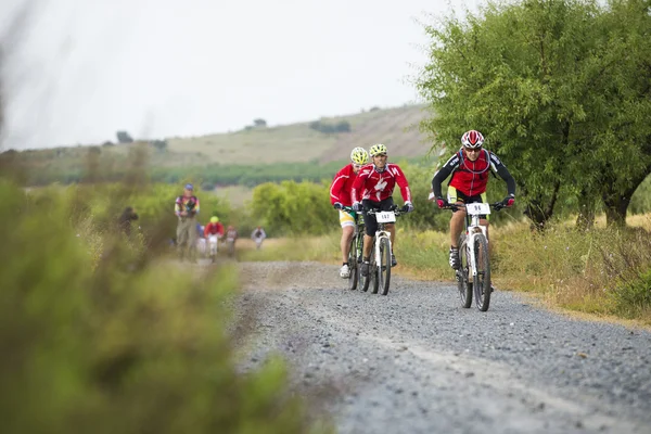 Granada, spanien - 1. juni: unbekannter rennfahrer beim wettbewerb des mountainbikes "la mamut padul bike" am 1. juni 2014 in granada, spanien — Stockfoto